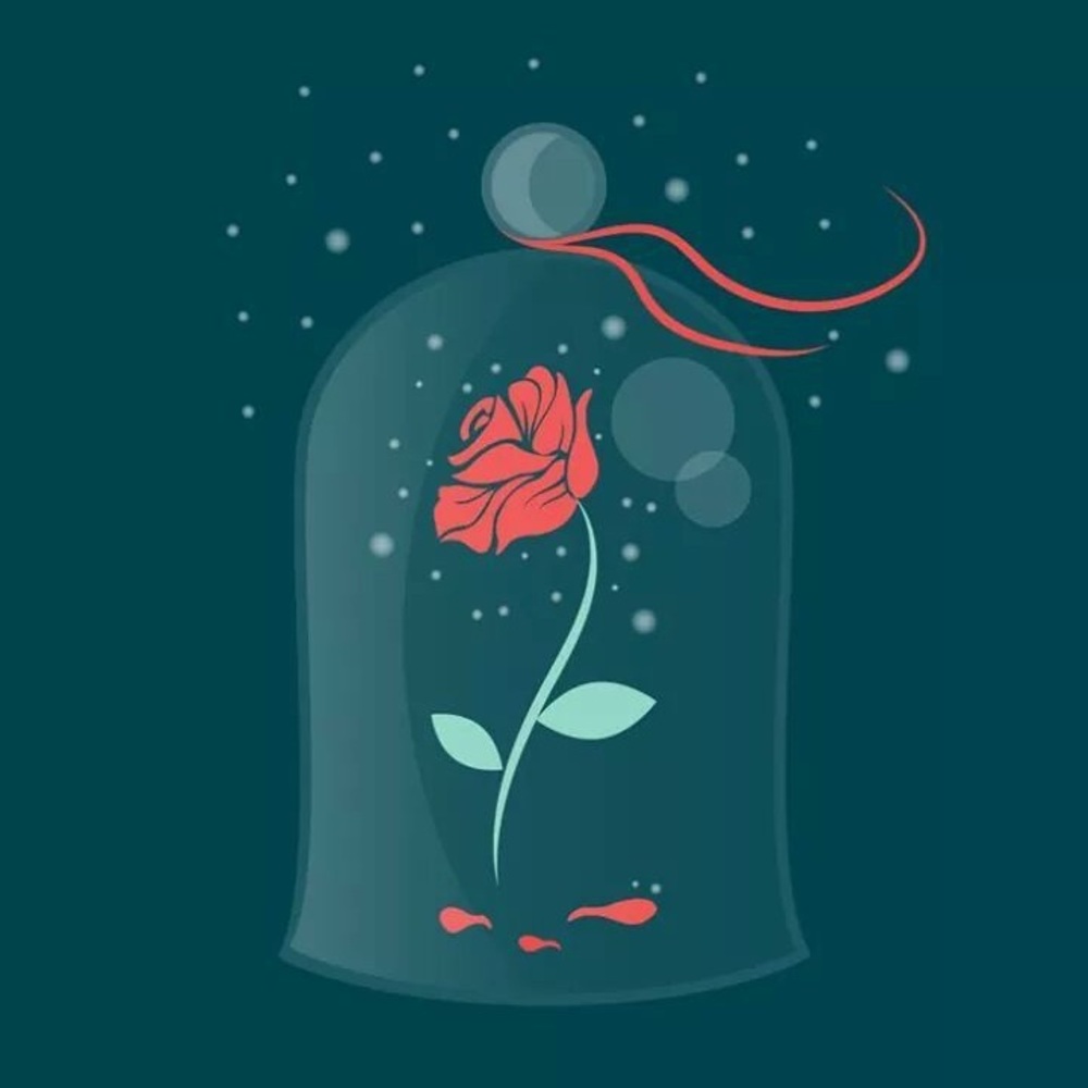 Meet your Posher, Carley